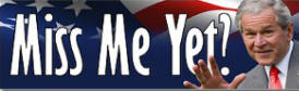 Miss Me Yet? Sticker (Bumper)