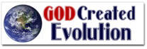 God Created Evolution Sticker (Bumper)