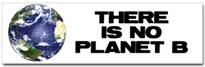 No Planet B Sticker (Bumper)
